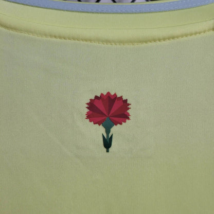Spain Pedri 21 Kids Away Soccer Jersey Euro 2024