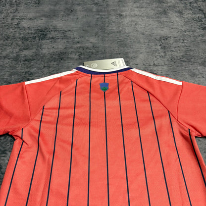 Scotland Kids Away Soccer Jersey World Cup 2026