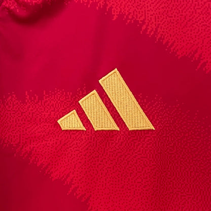 Spain Gavi 9 Home Soccer Jersey Euro 2024
