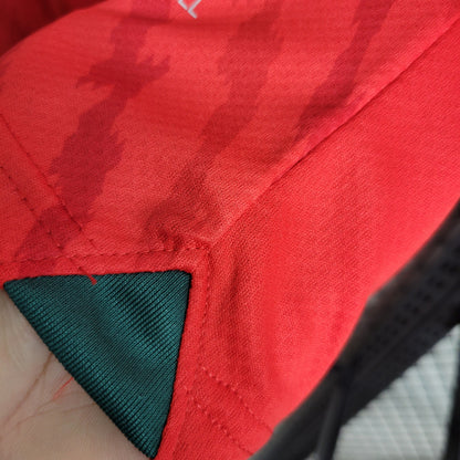 Morocco Home Soccer Jersey World Cup 2023
