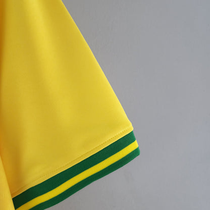 Brazil Concept Soccer Jersey 2022/23 - Yellow